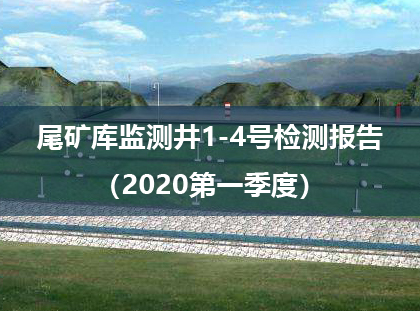 关于内蒙古金山矿业有限公司尾矿库监测井1-4号检测报告（2020第一季度）